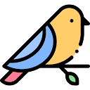 ip测试